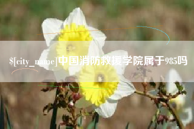 石家庄中国消防救援学院属于985吗