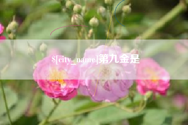 石家庄第九金是