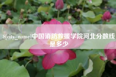 石家庄中国消防救援学院河北分数线是多少