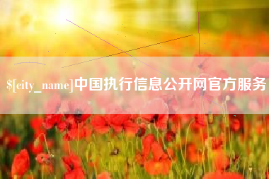 石家庄中国执行信息公开网官方服务