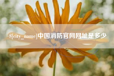 石家庄中国消防官网网址是多少