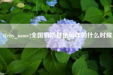 石家庄全国消防日是每年的什么时候