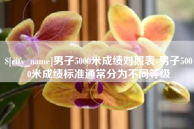 石家庄男子5000米成绩对照表-男子5000米成绩标准通常分为不同等级