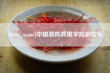 石家庄中国消防救援学院副院长
