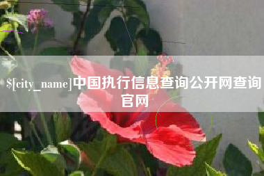 石家庄中国执行信息查询公开网查询官网