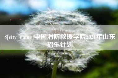 石家庄中国消防救援学院2021年山东招生计划