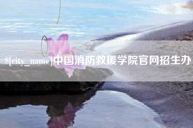 石家庄中国消防救援学院官网招生办