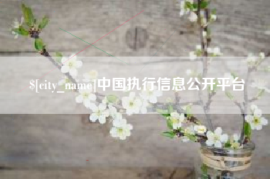 石家庄中国执行信息公开平台