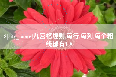 石家庄九宫格规则,每行,每列,每个粗线都有1-9
