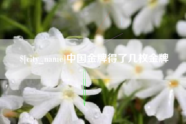 石家庄中国金牌得了几枚金牌