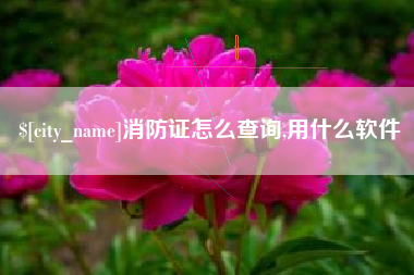 石家庄消防证怎么查询,用什么软件