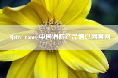 石家庄中国消防产品信息网官网