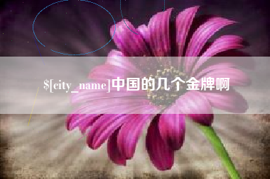 石家庄中国的几个金牌啊