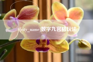 石家庄数字九宫格玩法