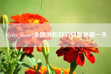 石家庄全国消防日的日期是哪一天