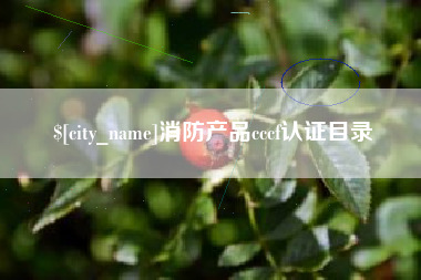 石家庄消防产品cccf认证目录