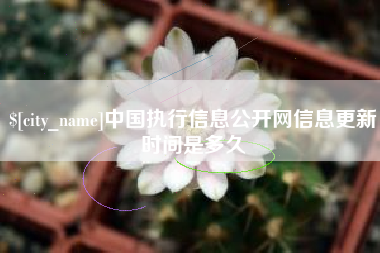 石家庄中国执行信息公开网信息更新时间是多久