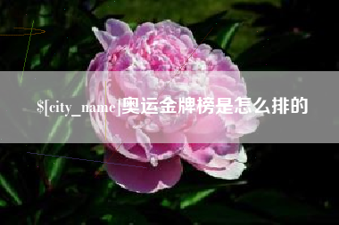 石家庄奥运金牌榜是怎么排的