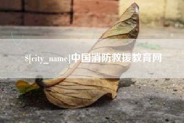 石家庄中国消防救援教育网