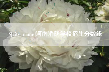 石家庄河南消防学校招生分数线