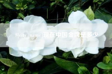 石家庄现在中国金牌是多少
