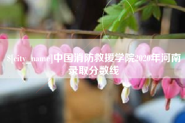 石家庄中国消防救援学院2020年河南录取分数线