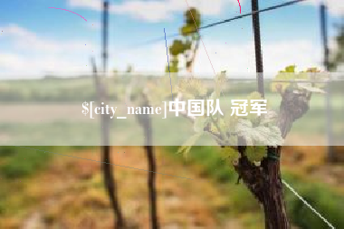 石家庄中国队 冠军