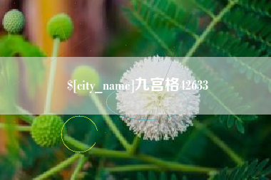 石家庄九宫格42633