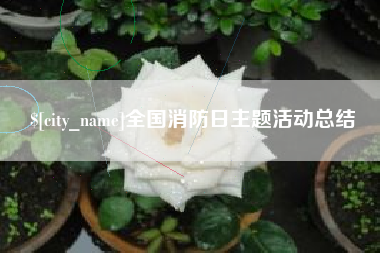 石家庄全国消防日主题活动总结