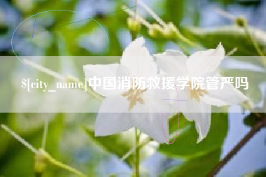 石家庄中国消防救援学院管严吗