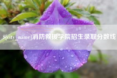 石家庄消防救援学院招生录取分数线