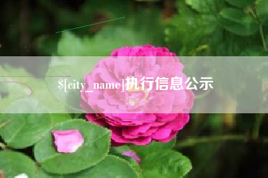石家庄执行信息公示