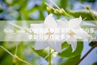 石家庄中国消防救援学院2021年山东录取分数线是多少