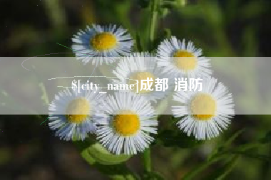 石家庄成都 消防