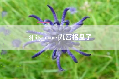石家庄九宫格盘子