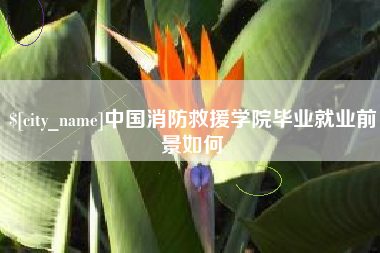 石家庄中国消防救援学院毕业就业前景如何