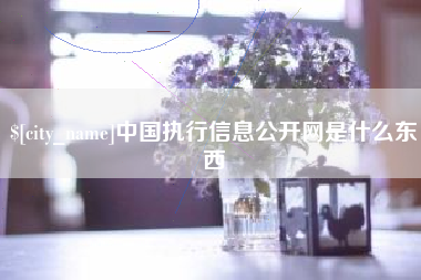 石家庄中国执行信息公开网是什么东西