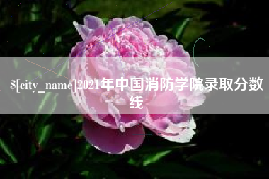 石家庄2021年中国消防学院录取分数线