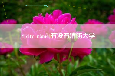 石家庄有没有消防大学