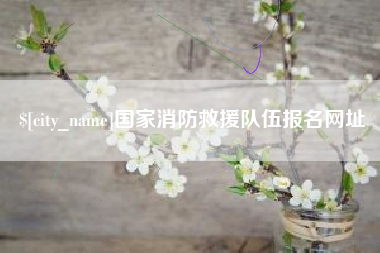 石家庄国家消防救援队伍报名网址