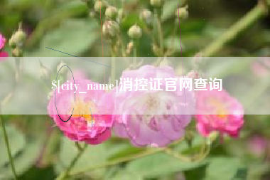 石家庄消控证官网查询