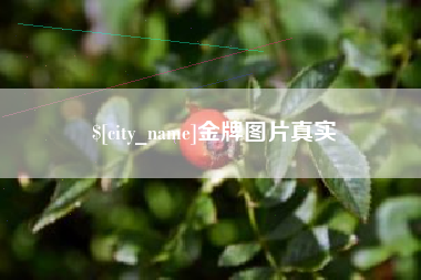 石家庄金牌图片真实