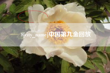石家庄中国第九金回放