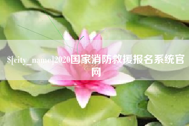 石家庄2020国家消防救援报名系统官网
