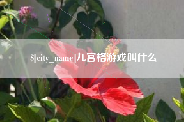 石家庄九宫格游戏叫什么