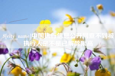石家庄中国执行信息公开网查不到被执行人是不是已解除限高