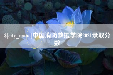石家庄中国消防救援学院2021录取分数