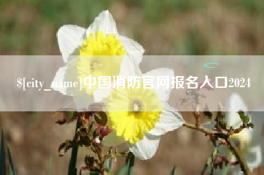 石家庄中国消防官网报名入口2024