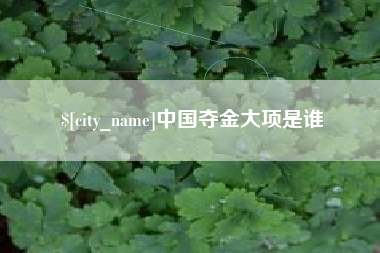 石家庄中国夺金大项是谁