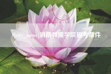 石家庄消防救援学院报考条件